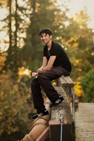 A skateboarder performs tricks on concrete steps at sunset in a park setting with golden light filtering through trees.
