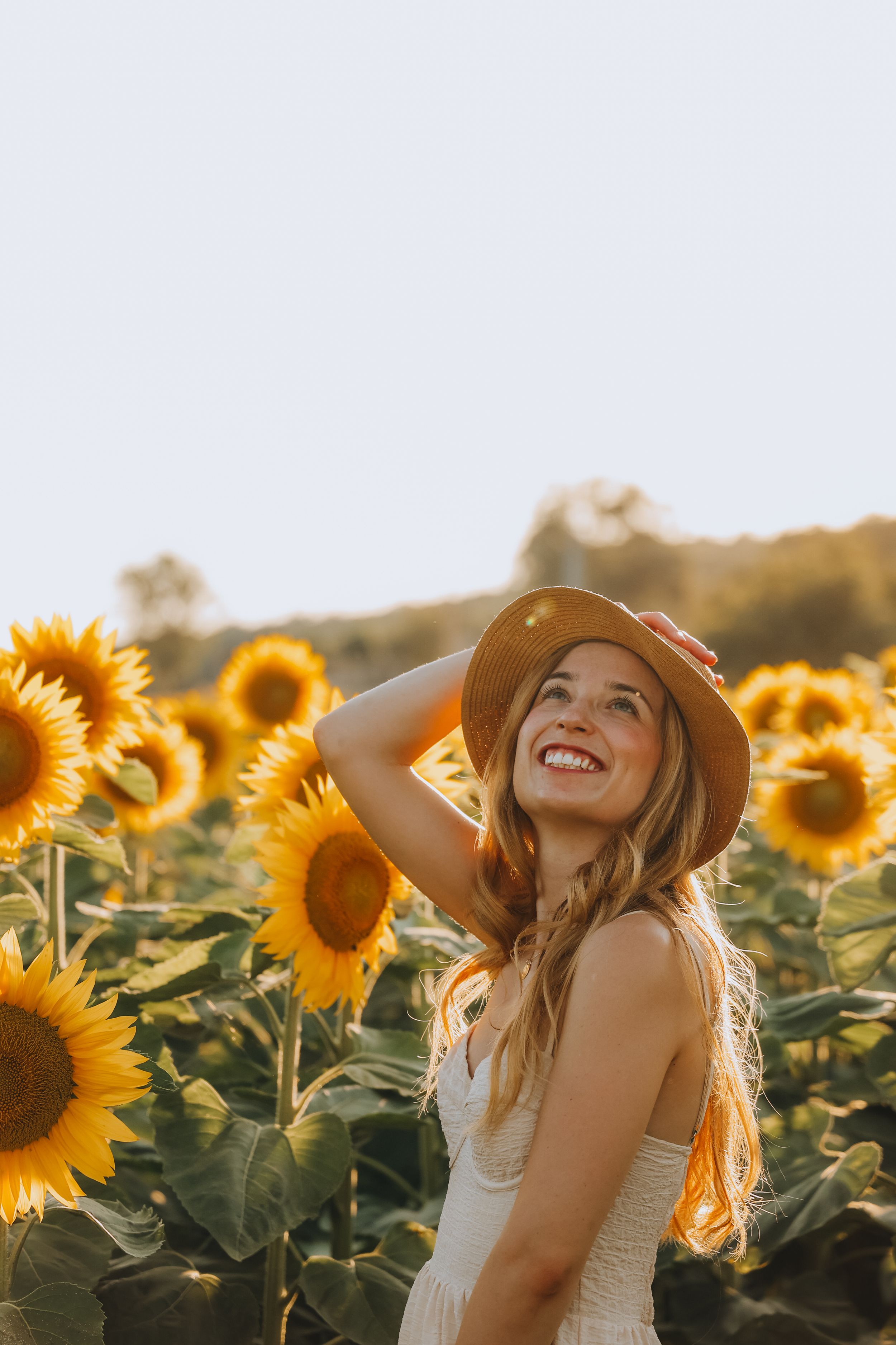 Happy woman in straw hat laughing in vibrant sunflower field at golden hour.