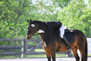 ©Morven Park ~ Dressage
Tara Jelenić Photography