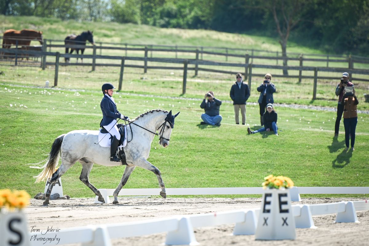 ©By Chance Farm ~ Dressage
Tara Jelenić Photography