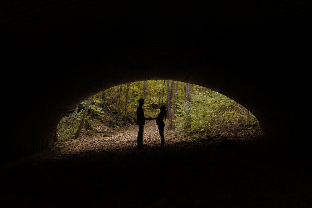 Silhouetted figures stand in tunnel entrance framed by forest greenery.