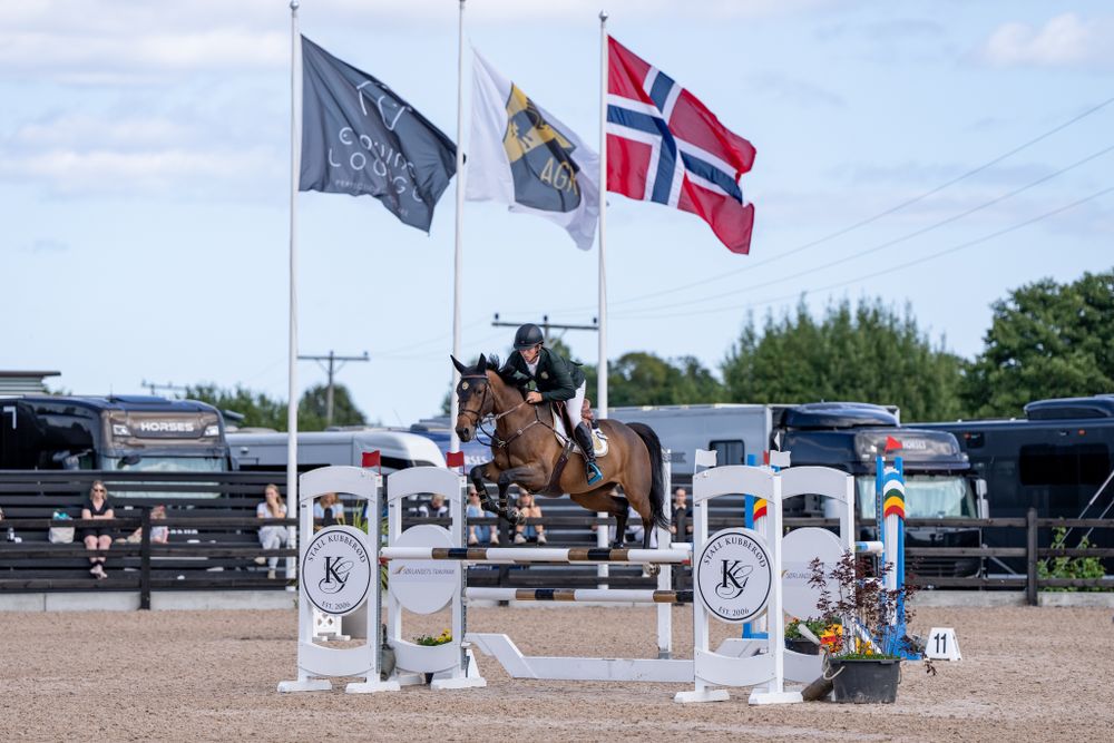 Horse and rider jumping over poles with Norwegian flag flying in background at competition.
