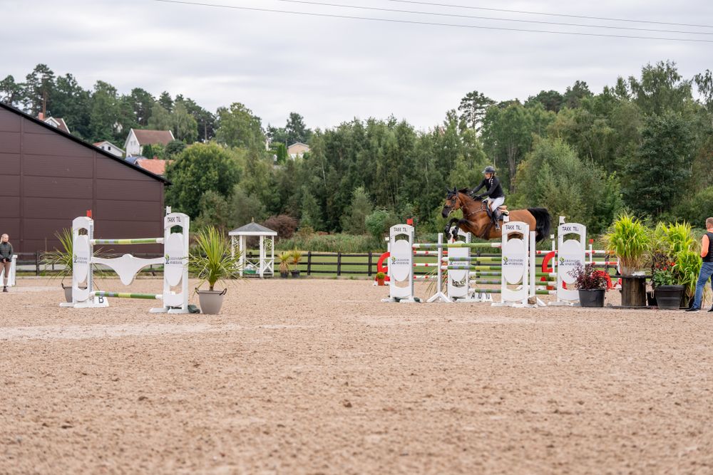 Show jumping course with white poles and standards set up in a sandy outdoor arena.