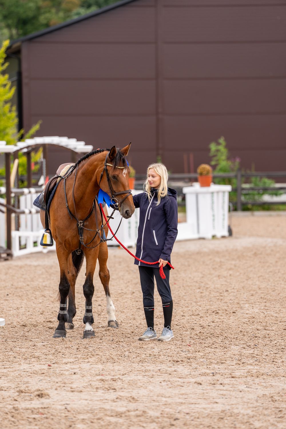 A woman leads a bay horse wearing blue tack in a sandy equestrian arena with jump poles in the background.
