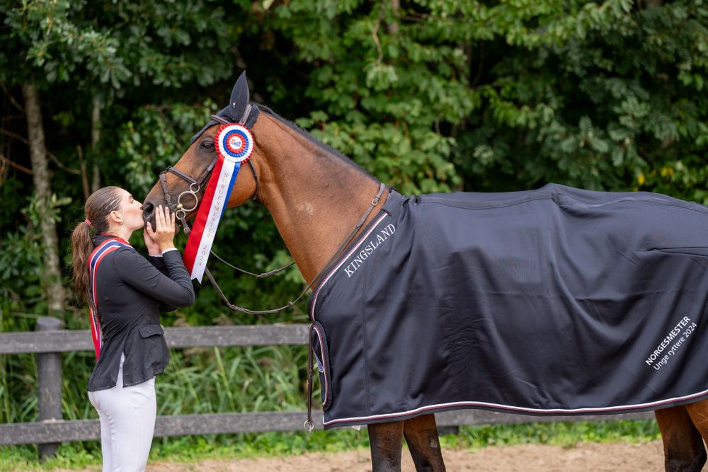 Award-winning horse wearing a dark blanket and tricolor ribbon at an equestrian competition.