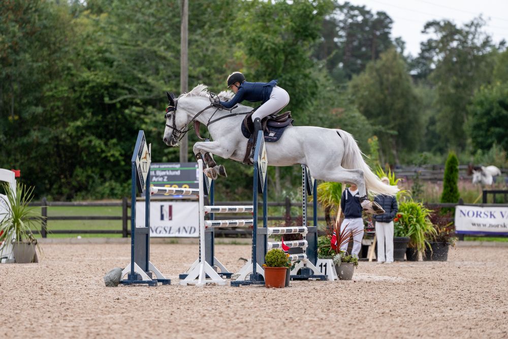 A gray horse clearing a high jump during a professional show jumping competition.
