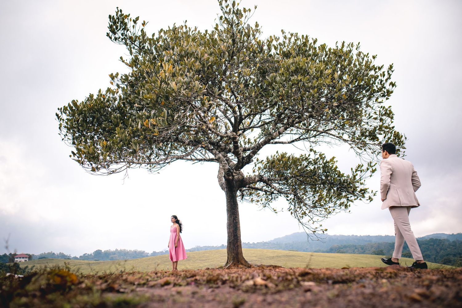 Lone tree on hilltop creates dramatic scene with figures in contrasting outfits.