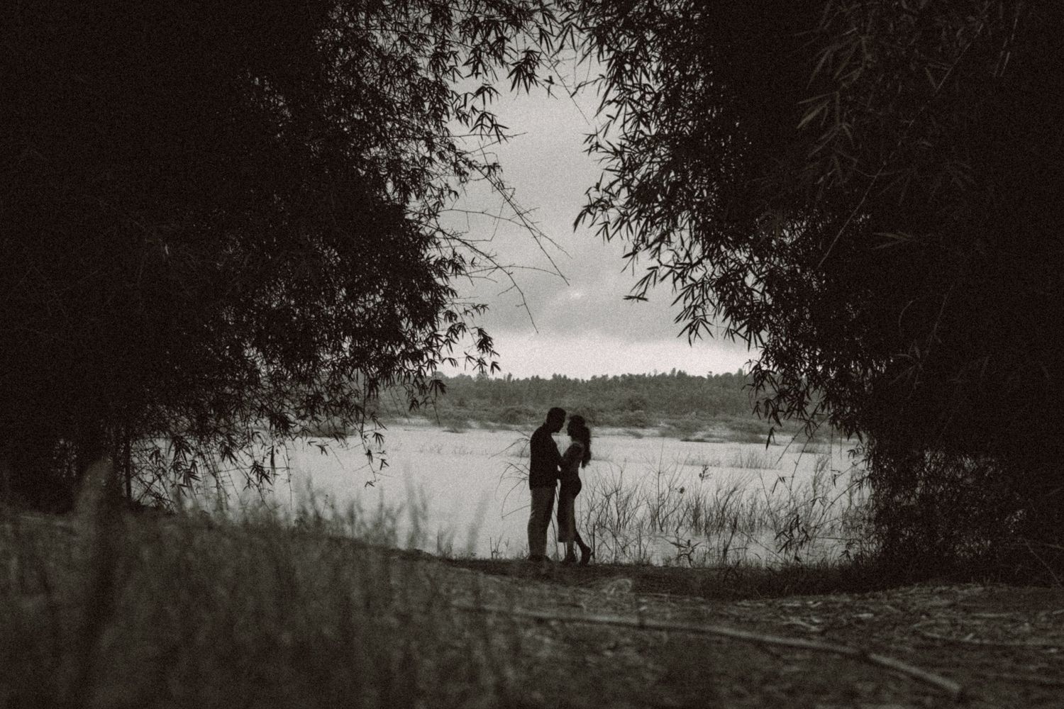 Silhouettes of a couple standing near trees at dusk in a romantic setting.