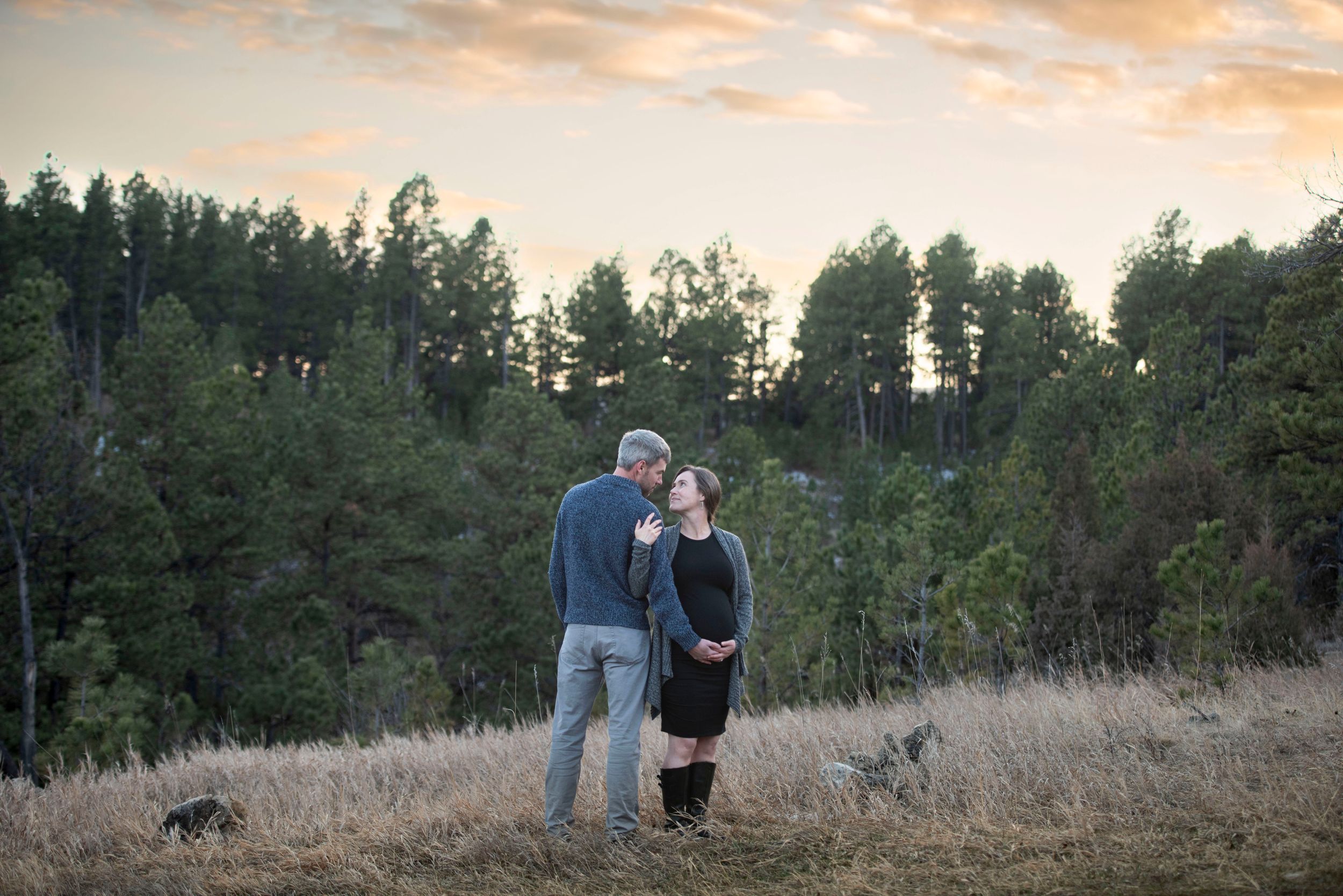 A couple takes an evening stroll through a golden meadow with pine trees.