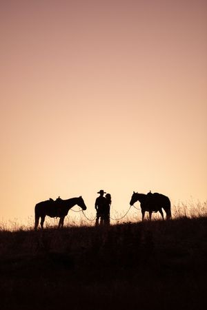 Silhouettes of horses and riders against a warm sunset sky create a dramatic western panoramic scene.