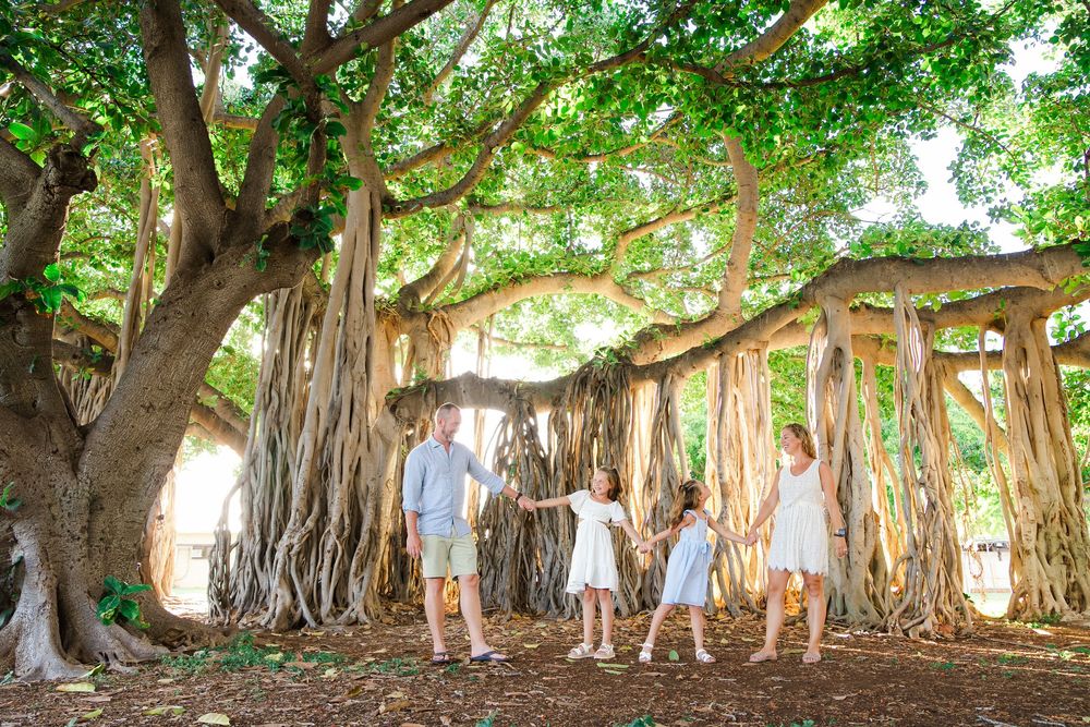 Family explores under a majestic banyan tree with hanging aerial roots in a tropical garden setting.