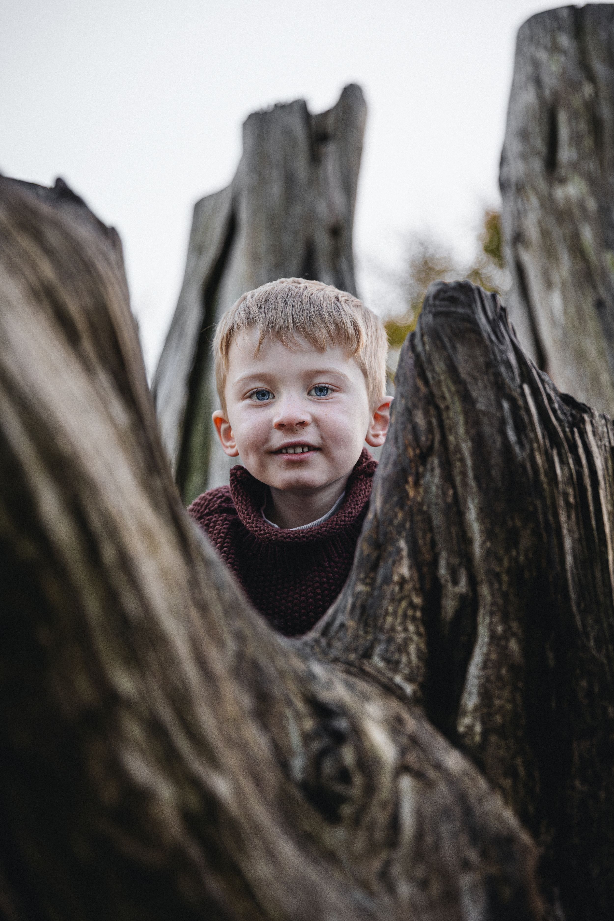 A young blonde boy peeks through weathered wooden logs outdoors on a cloudy day.
