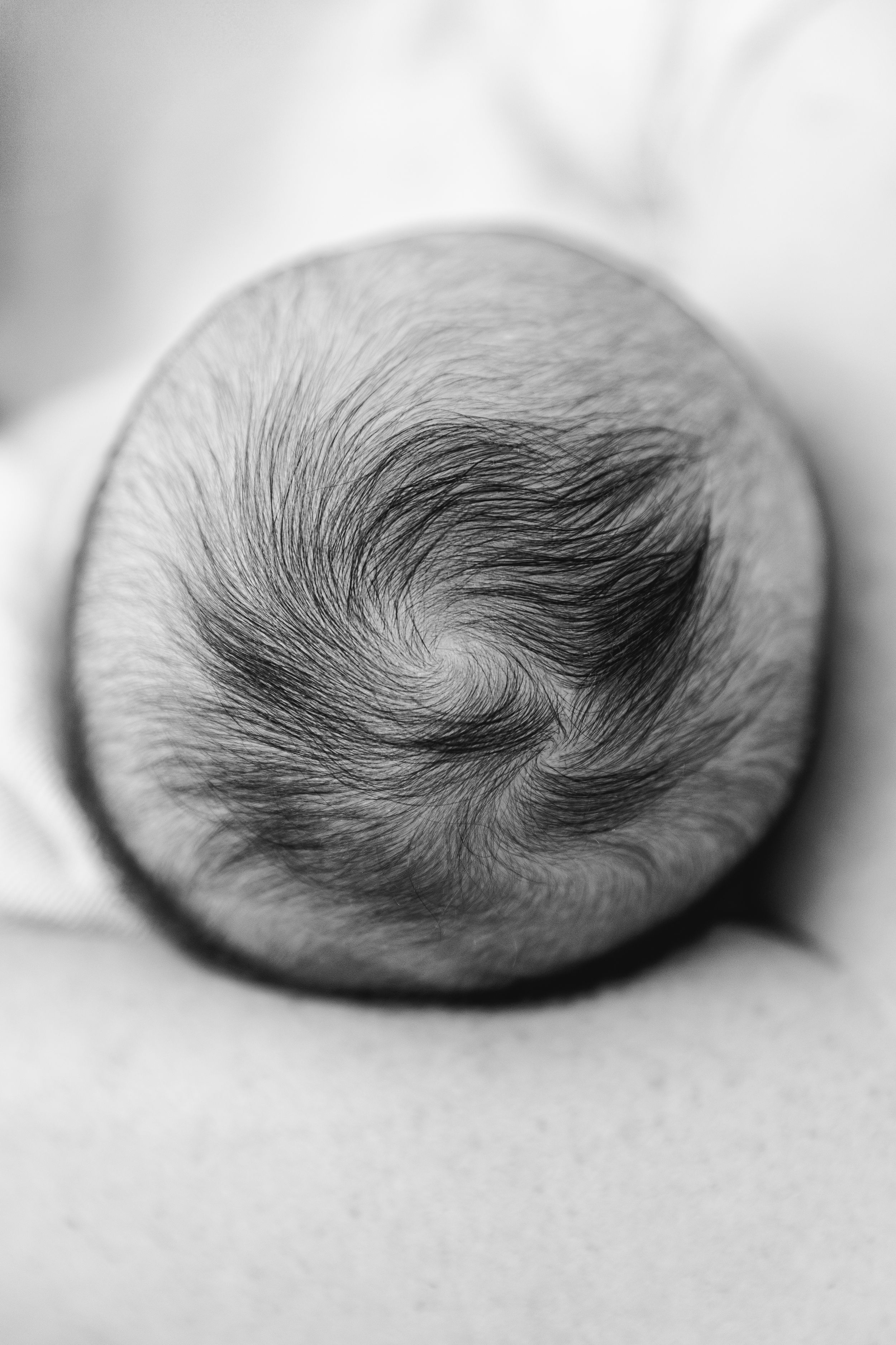 Black and white close-up of a newborn baby's head showing natural hair swirl pattern.