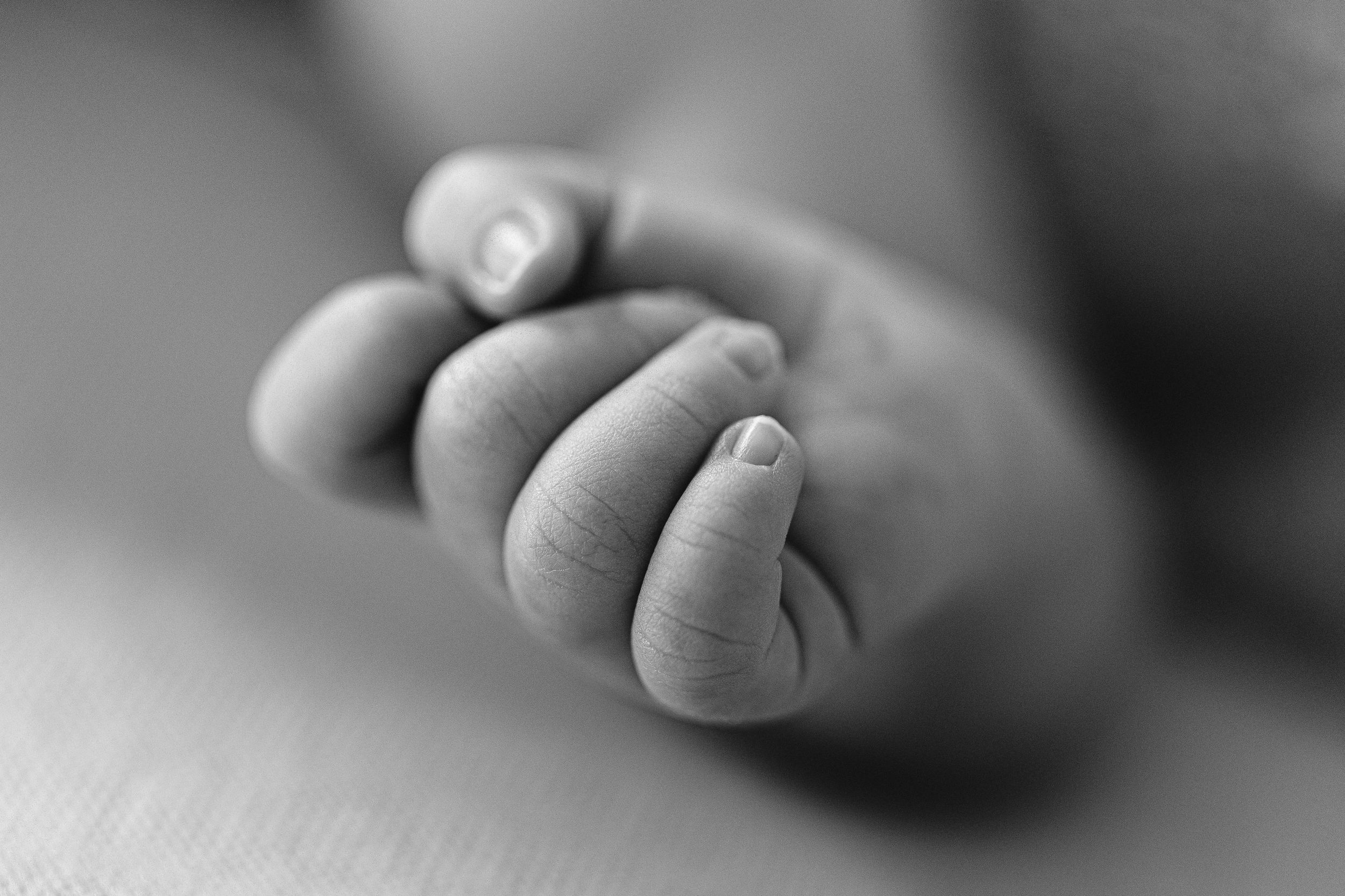 Close-up black and white photo of a tiny newborn baby's hand and fingers.