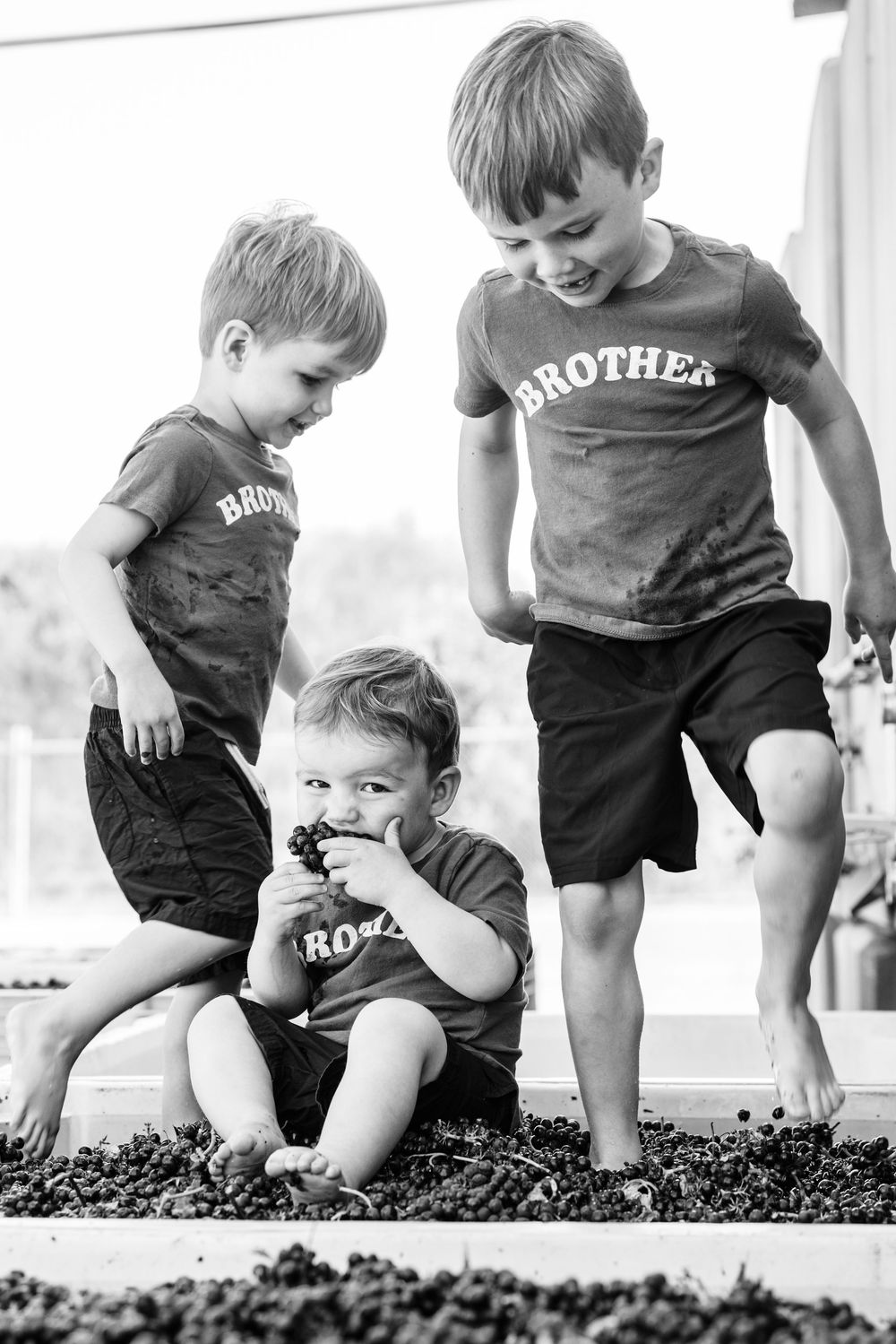 Series of candid black and white photos showing playful moments in matching brother t-shirts on mulch ground.