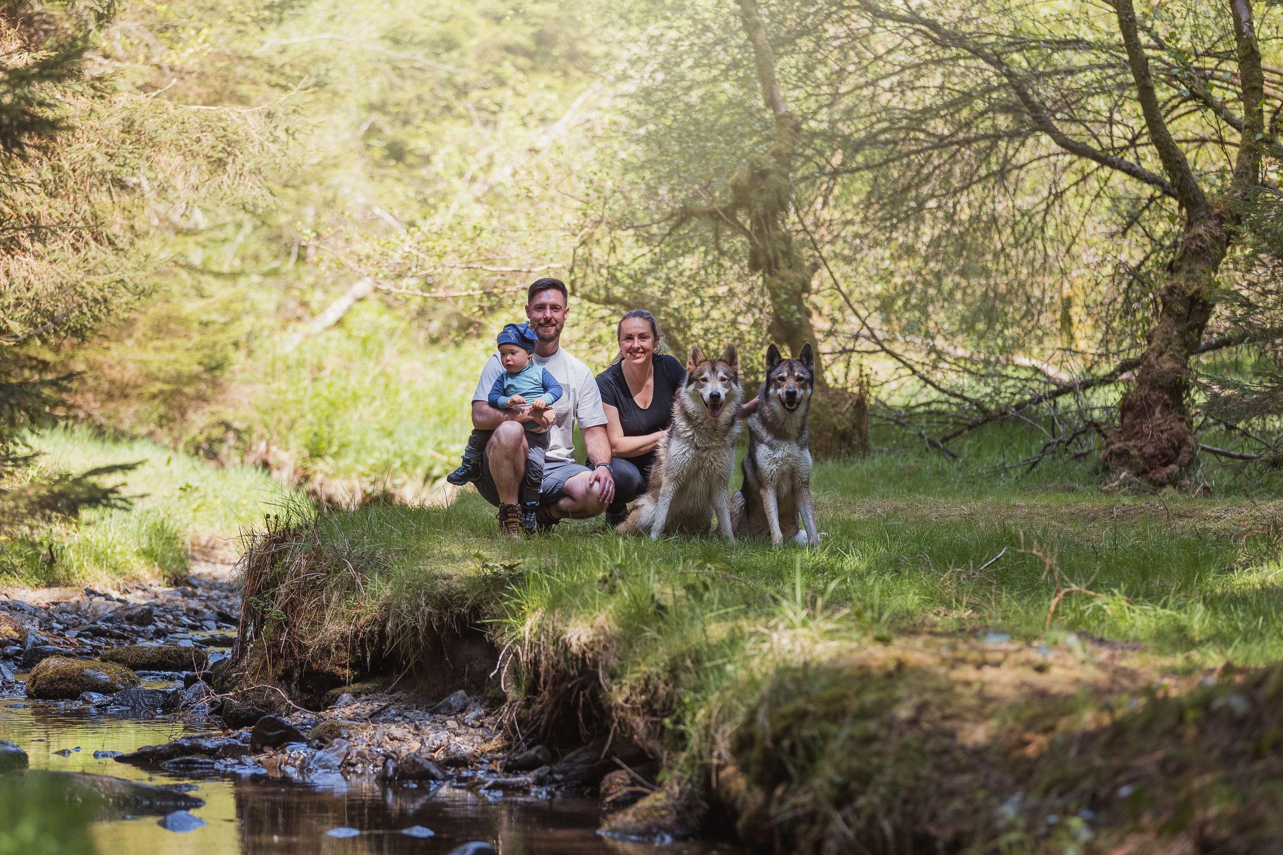 Group relaxing by stream in forest with their dogs on sunny day.