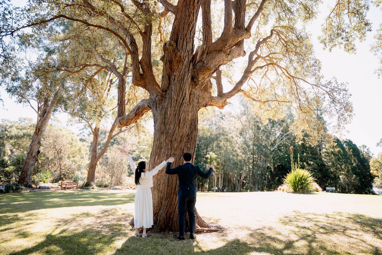 Bride and groom hold hands beside a large tree trunk in a sunny park - natural elopement couple photography