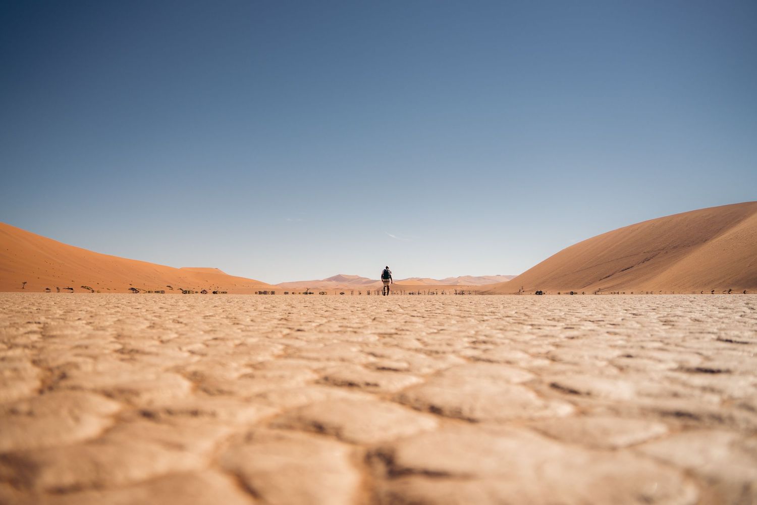 deadvlei, marcheur au milieu du lac asséché qui se dirige vers les arbres noirs
