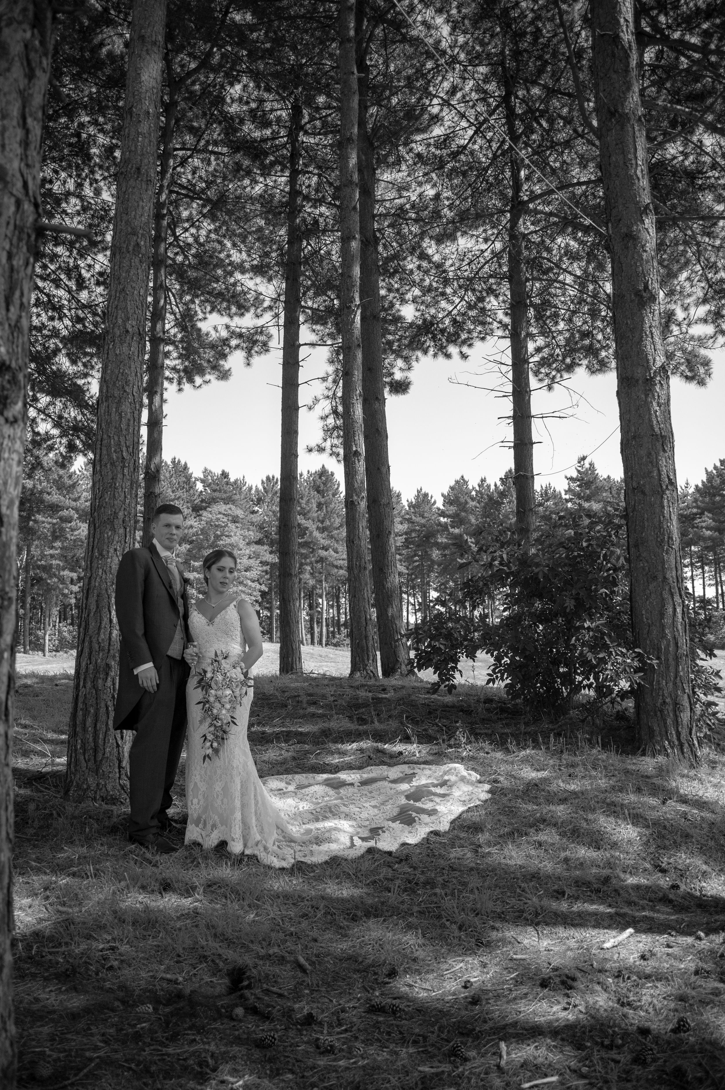 Elegant wedding portrait in pine forest with dramatic lighting and shadows.