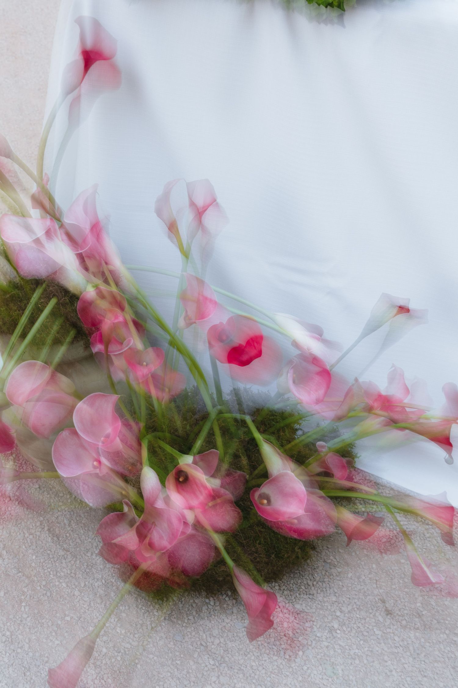 Blurred pink calla lilies with green stems arranged on white fabric, creating a dreamy motion effect.