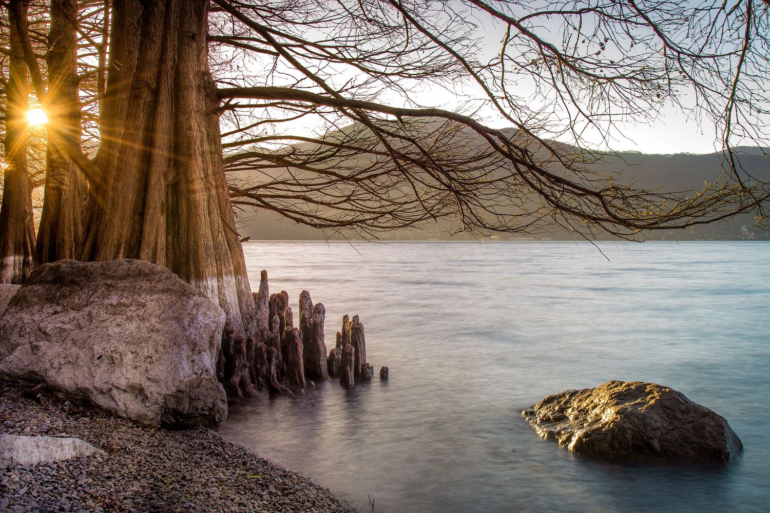 paesaggio-cipressi-riva-lago-iseo-andrea-pedretti