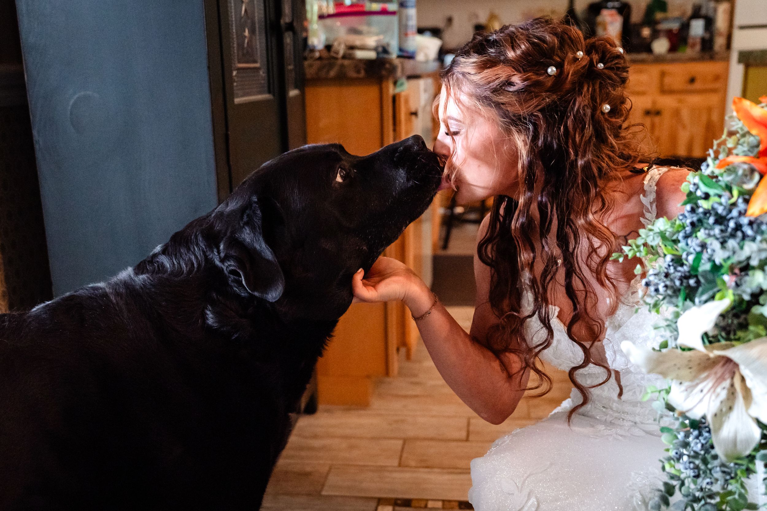 Bride in wedding gown shares a sweet moment kissing a black Labrador dog indoors.