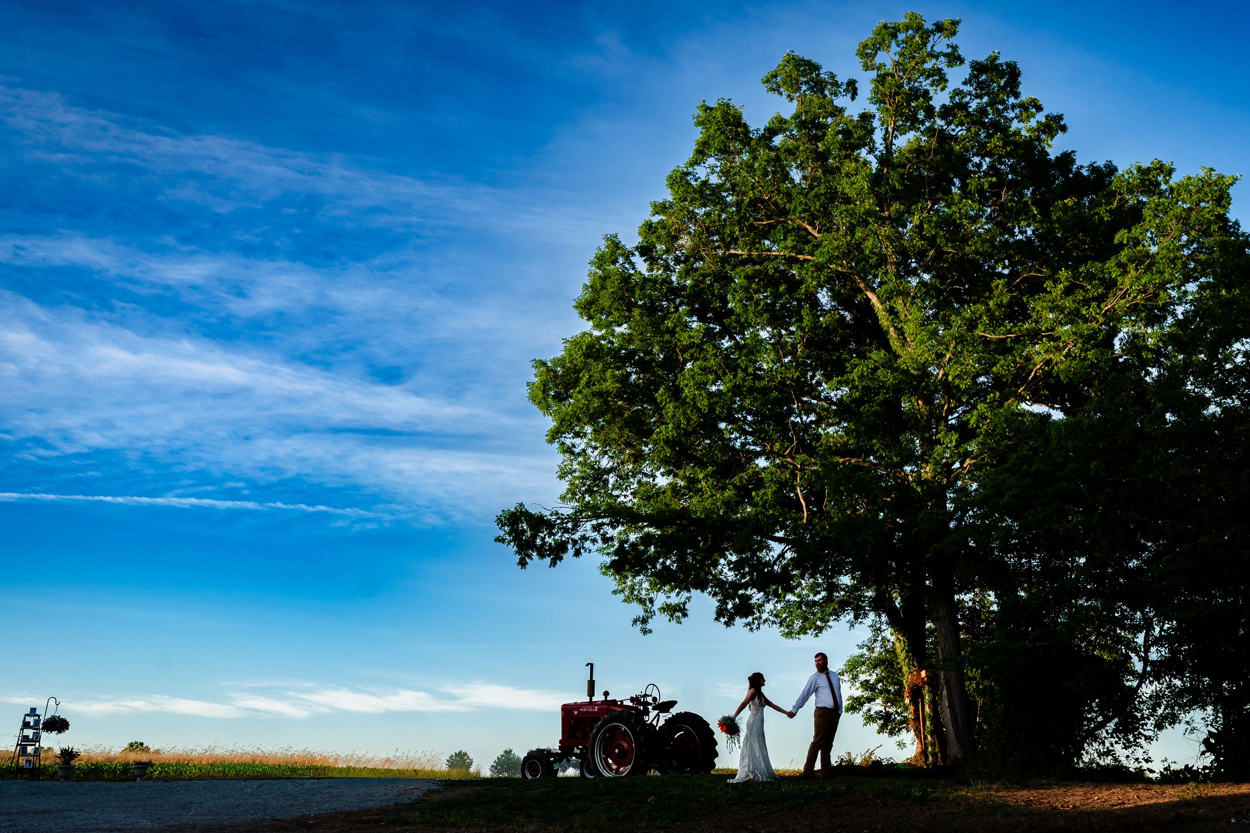 Silhouette of couple holding hands under large oak tree with red tractor at sunset on farm.