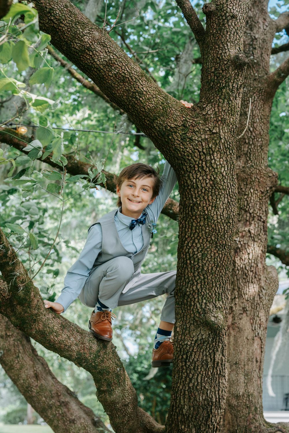 A smiling boy in a blue suit climbs a large tree in a lush green park, wearing brown dress shoes.