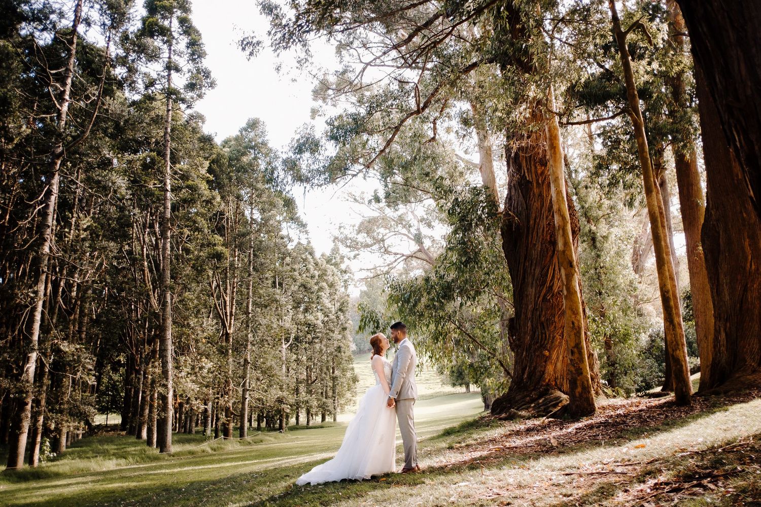 Alberton Wedding – Rachel & Avi