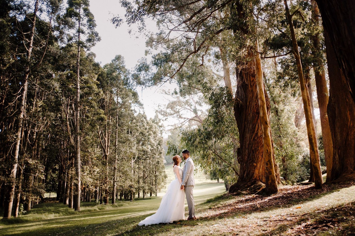 Alberton Wedding – Rachel & Avi