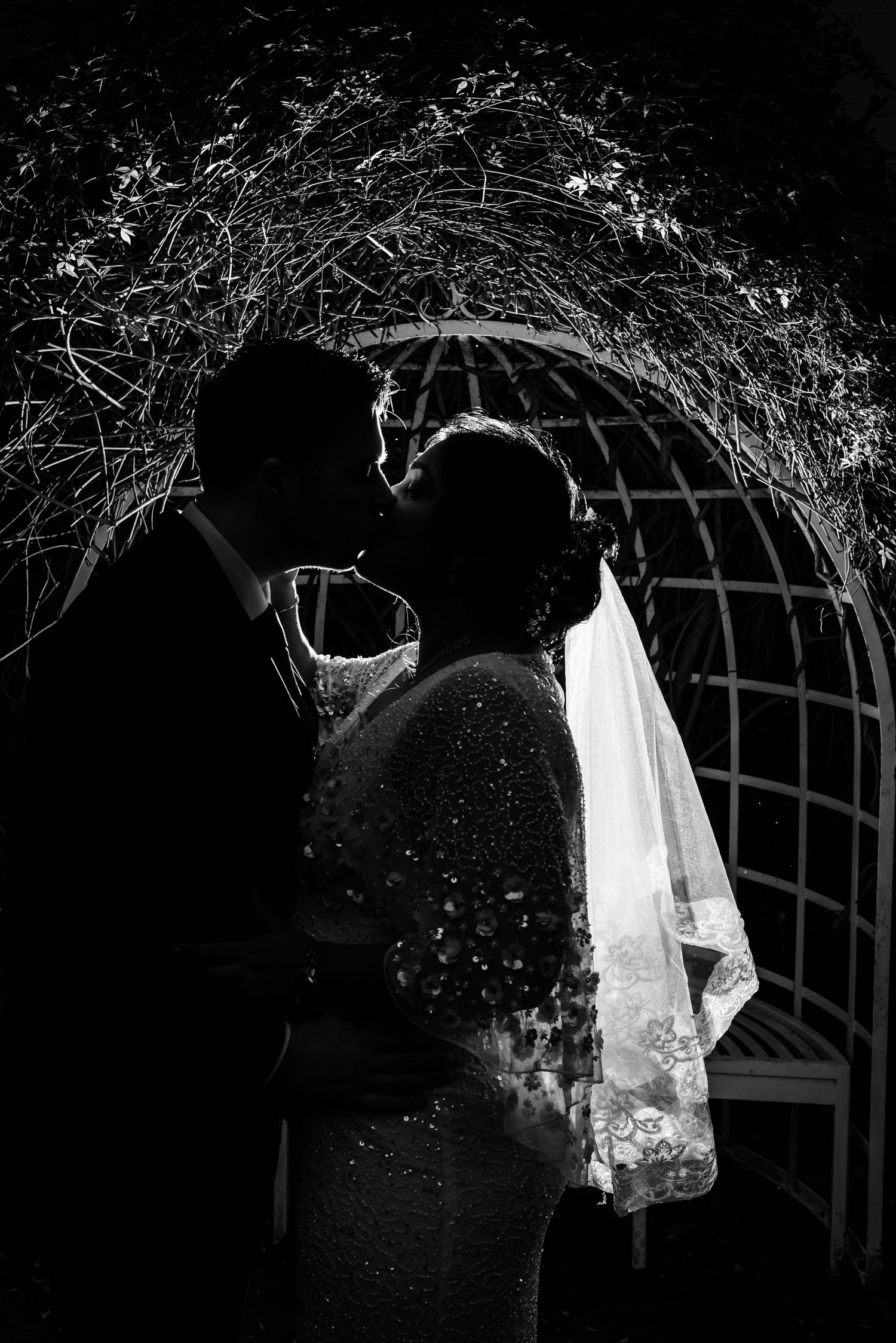 Black and white silhouette of a bride and groom kissing under a garden arch, bride wearing beaded gown and veil.