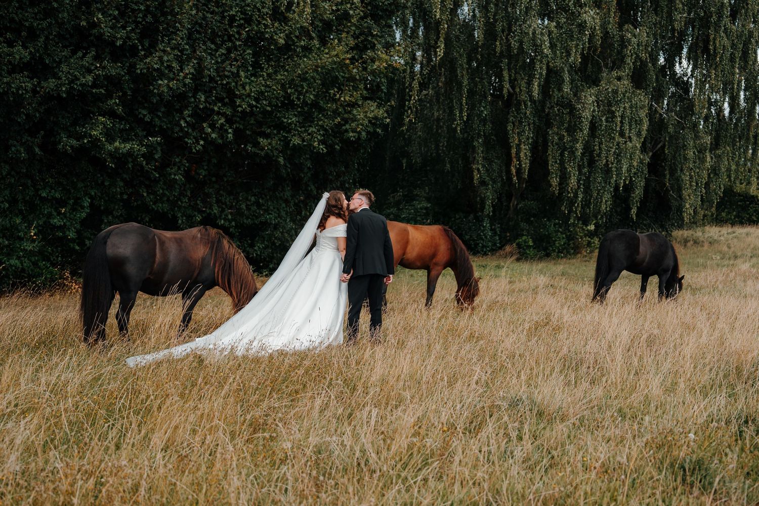 Bride and groom kissing in a golden field surrounded by grazing horses with lush green trees in the background.