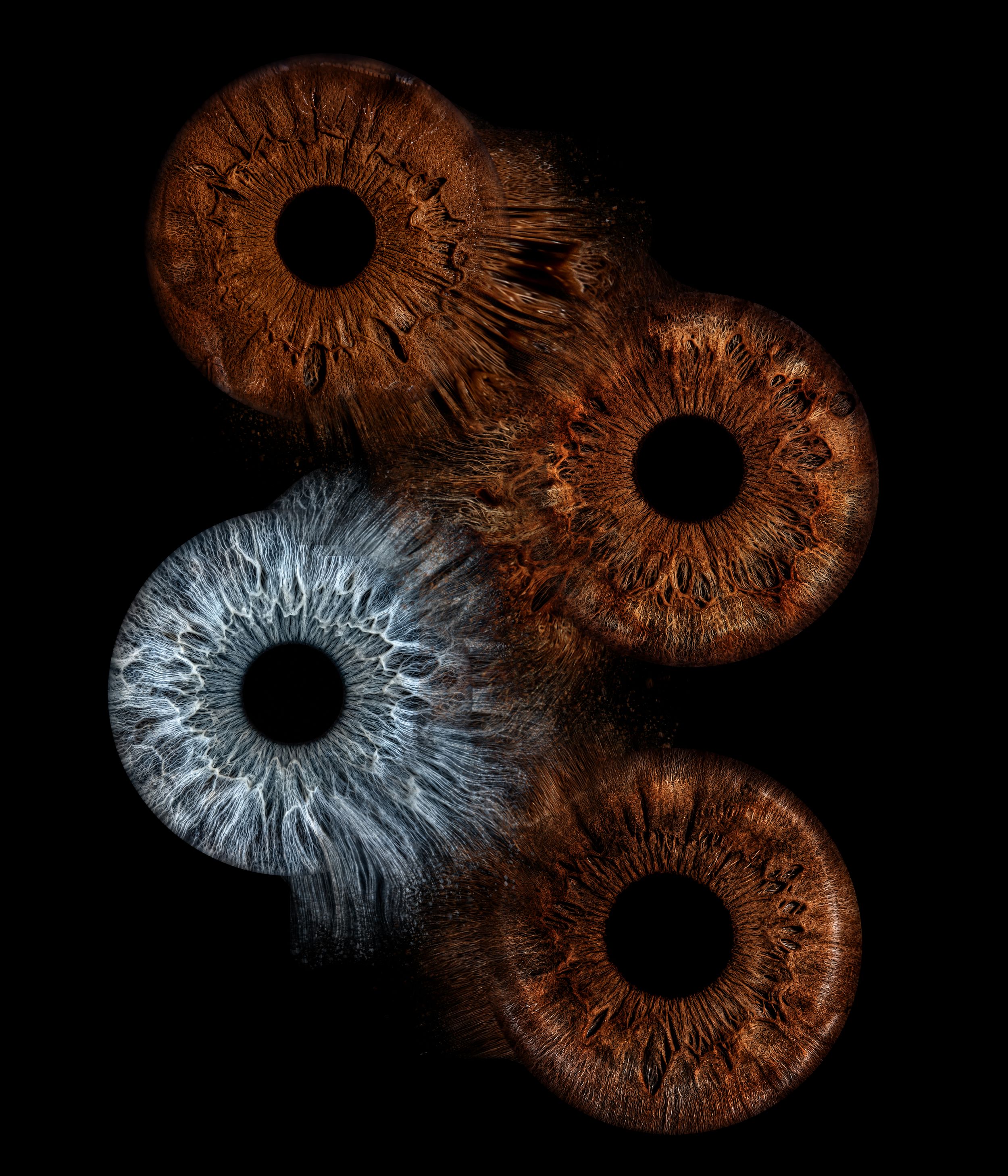 Close-up macro photography of multiple human irises in brown and blue tones against a black background.