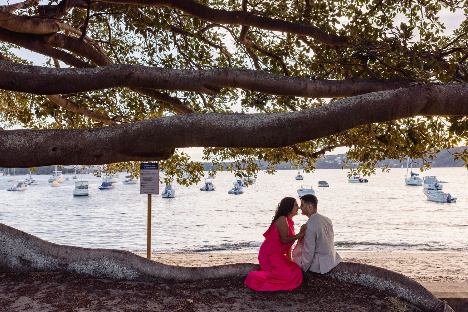 Couple sharing a romantic moment under a large tree by the waterfront with sailboats in the background.
