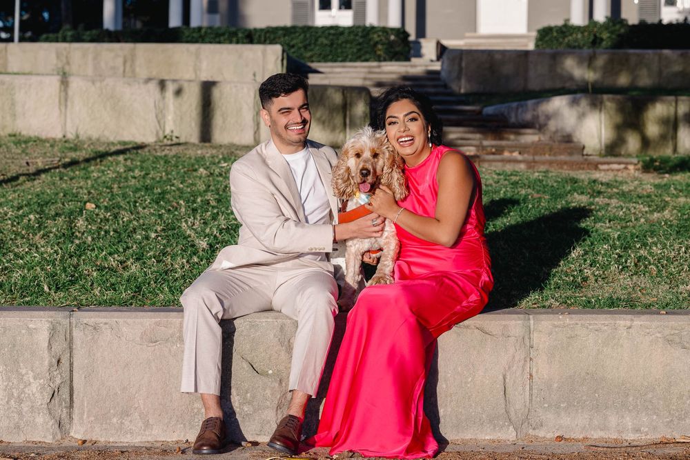Couple in formal attire sitting outdoors with a golden dog in an orange vest on a sunny day.
