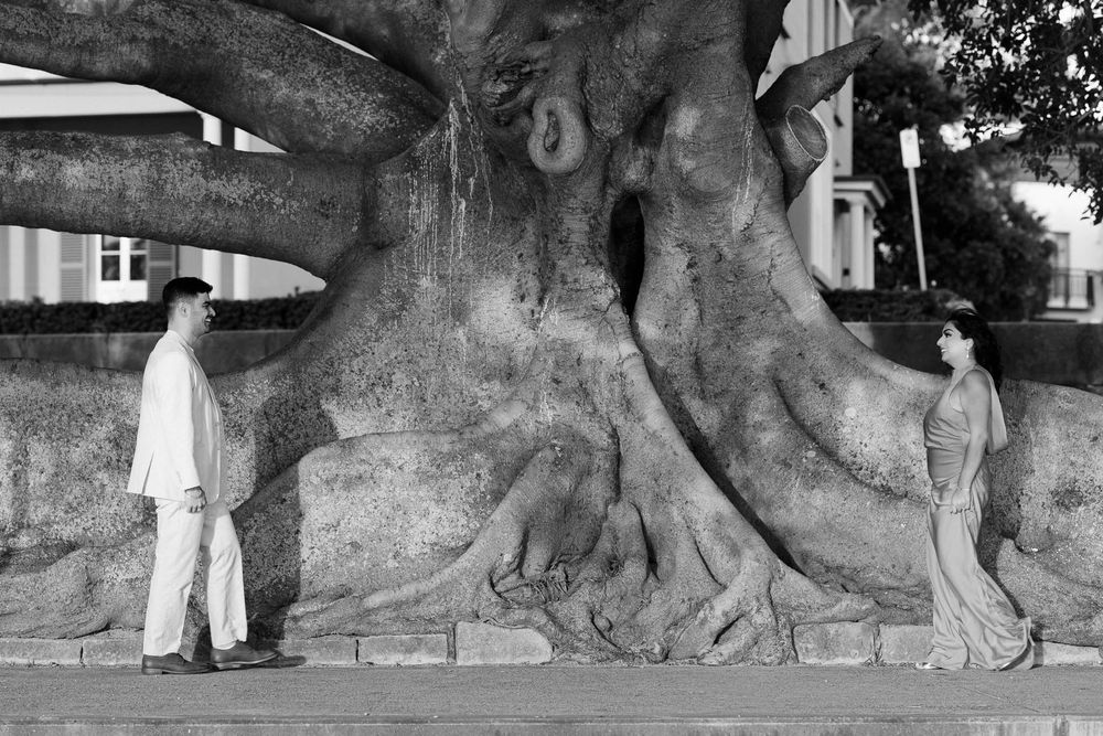 Black and white photo of a couple standing before a massive ancient tree with dramatic exposed roots.