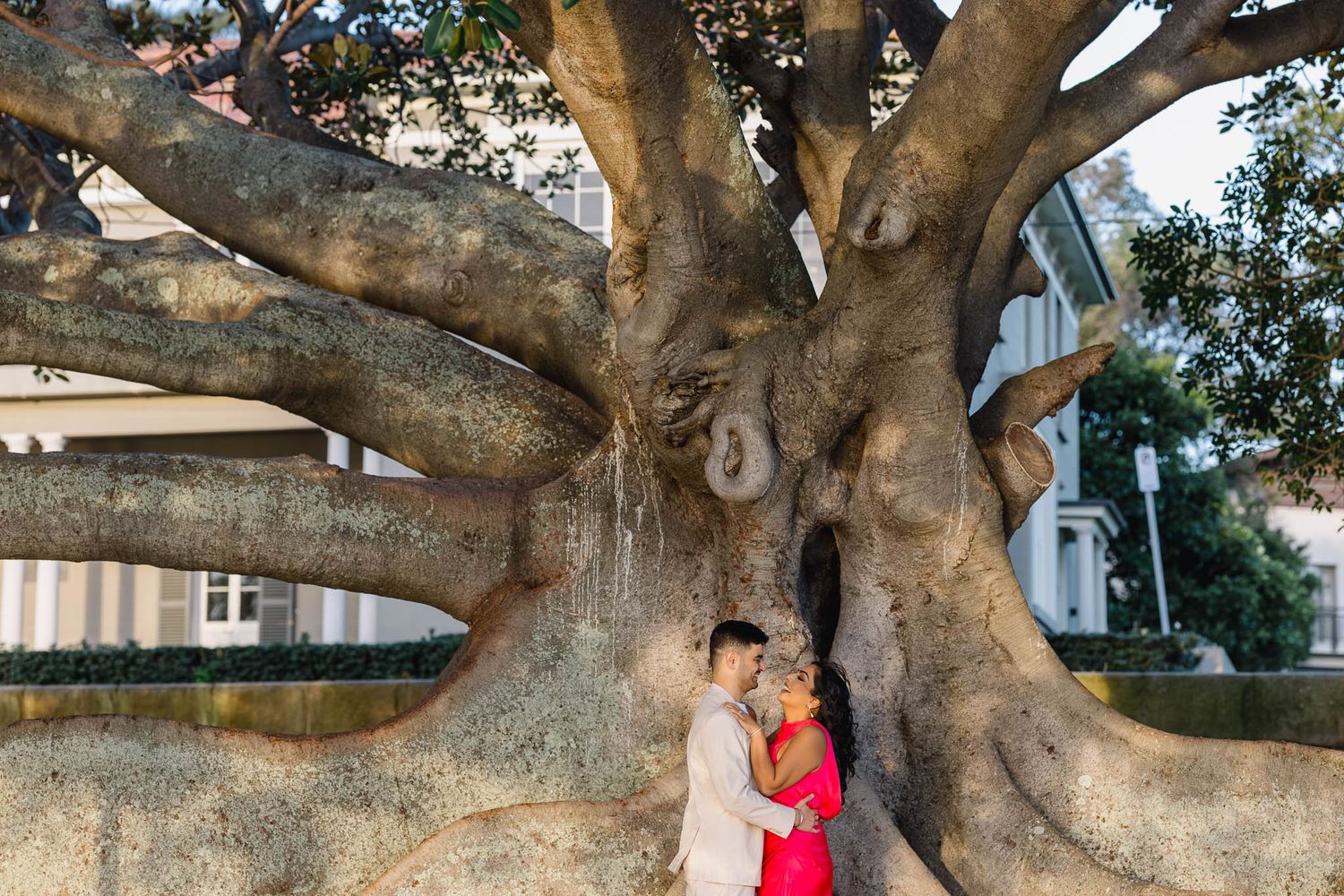 Couple embracing romantically beneath a massive ancient tree with sprawling roots and thick trunk outdoors.