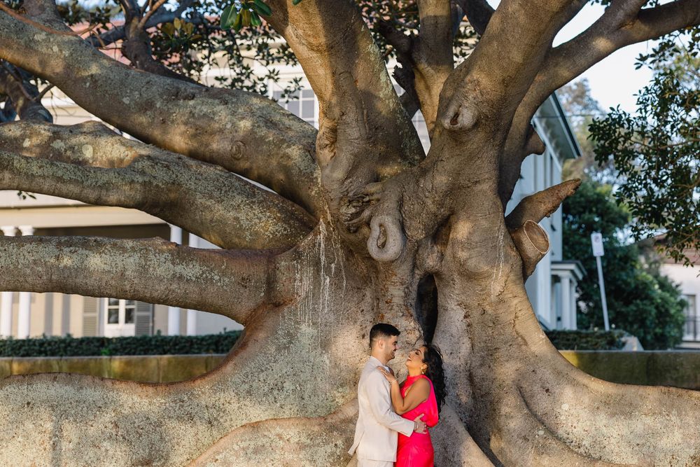 Couple embracing romantically beneath a massive ancient tree with sprawling roots and thick trunk outdoors.