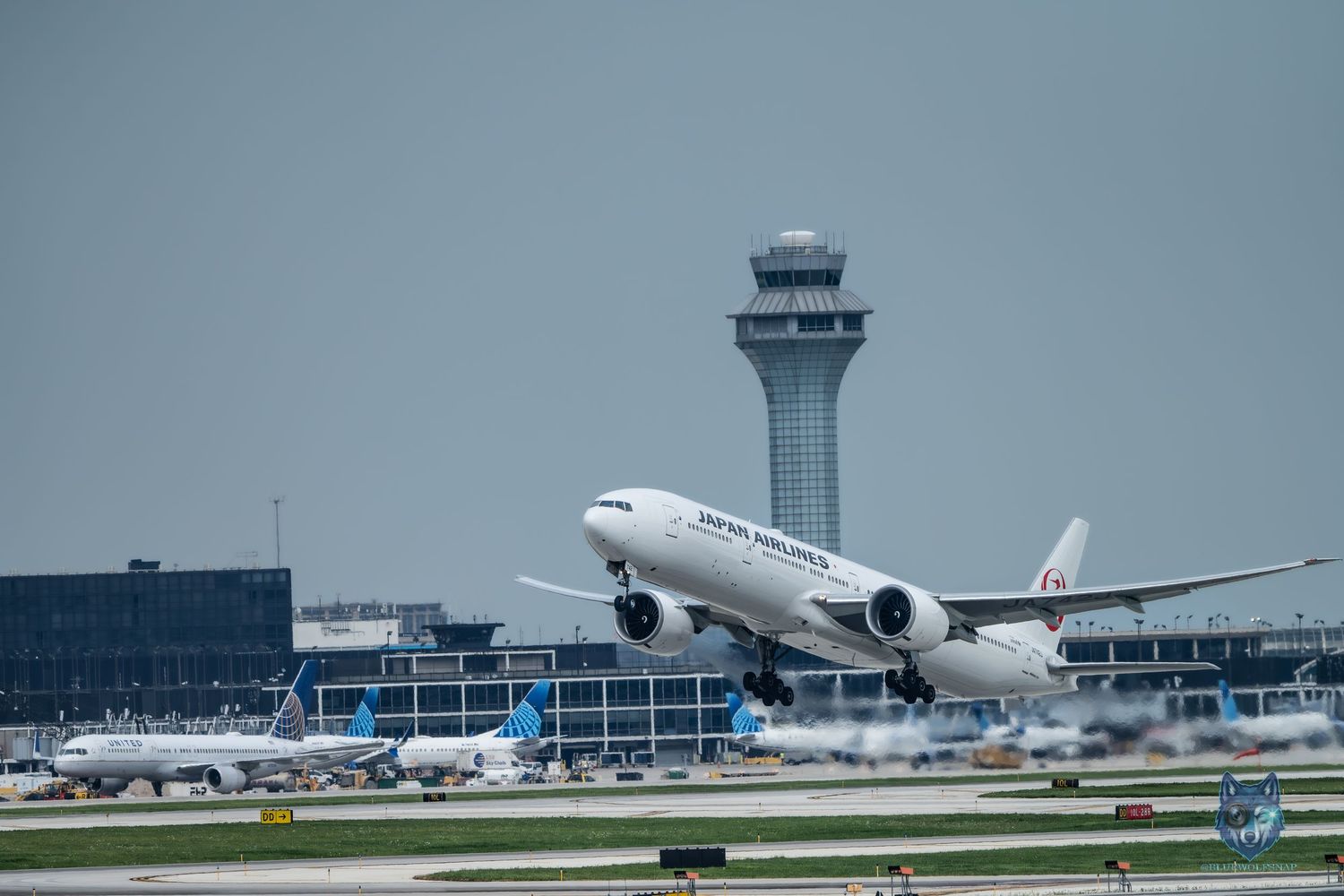 Japan Airlines Boeing 777 taking off from a busy international airport with air traffic control tower in background.
