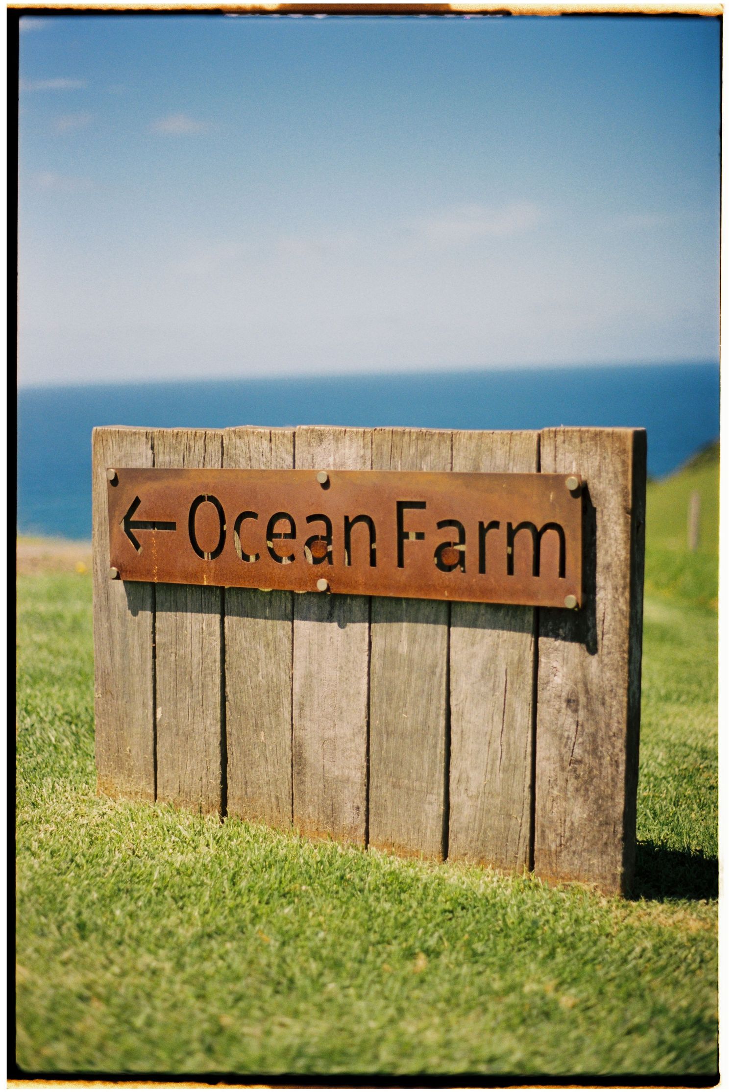 Rustic wooden sign pointing left to Ocean Farm, set on green grass with ocean horizon in background.