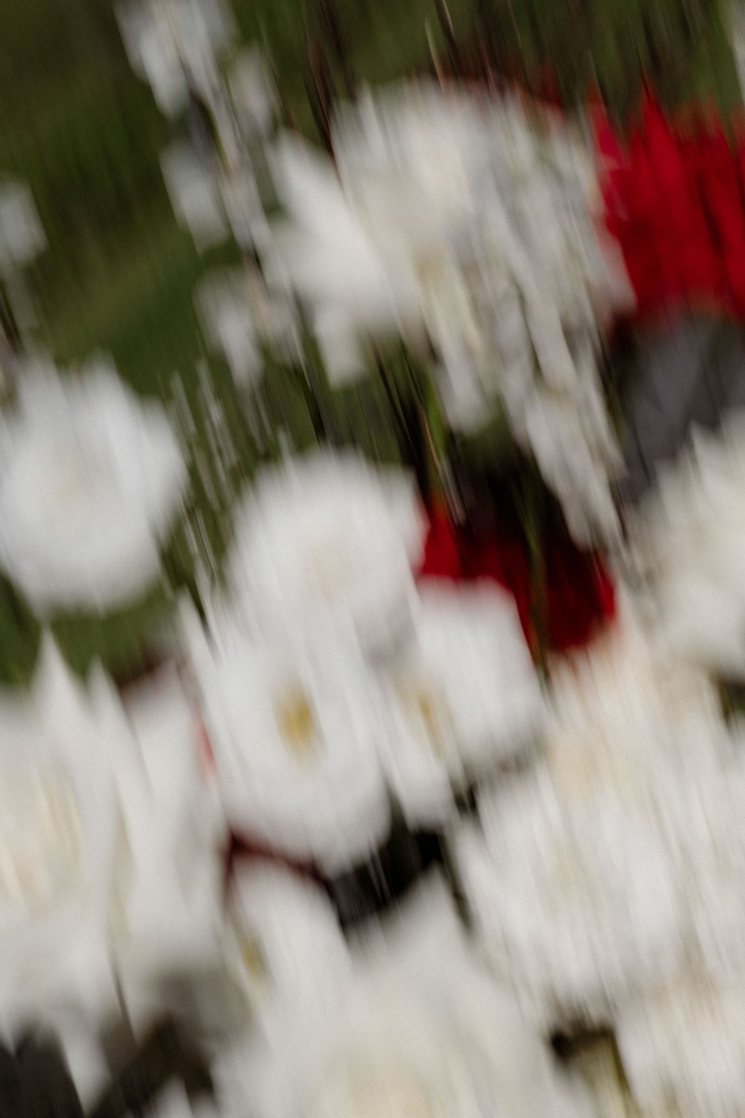 Blurred close-up of white and red flowers with green foliage at a wedding ceremony.