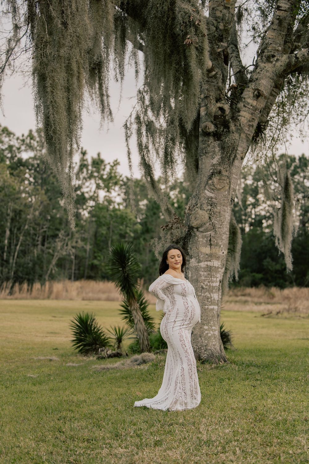 Pregnant woman in white lace gown poses gracefully under Spanish moss-draped tree in a serene field.
