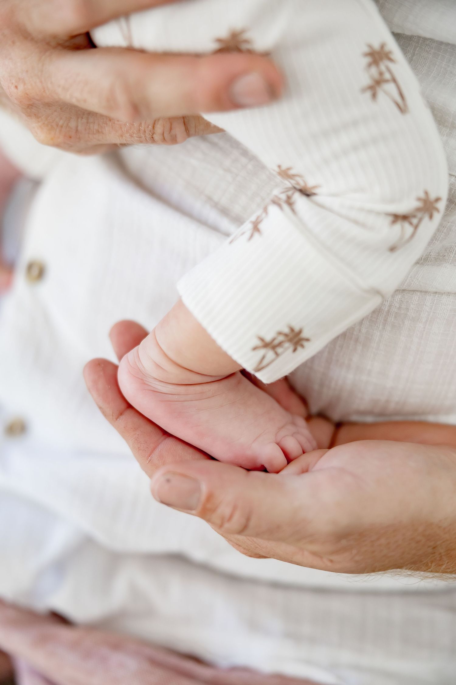 Close-up of adult hands gently holding tiny newborn baby feet in a white palm tree onesie.