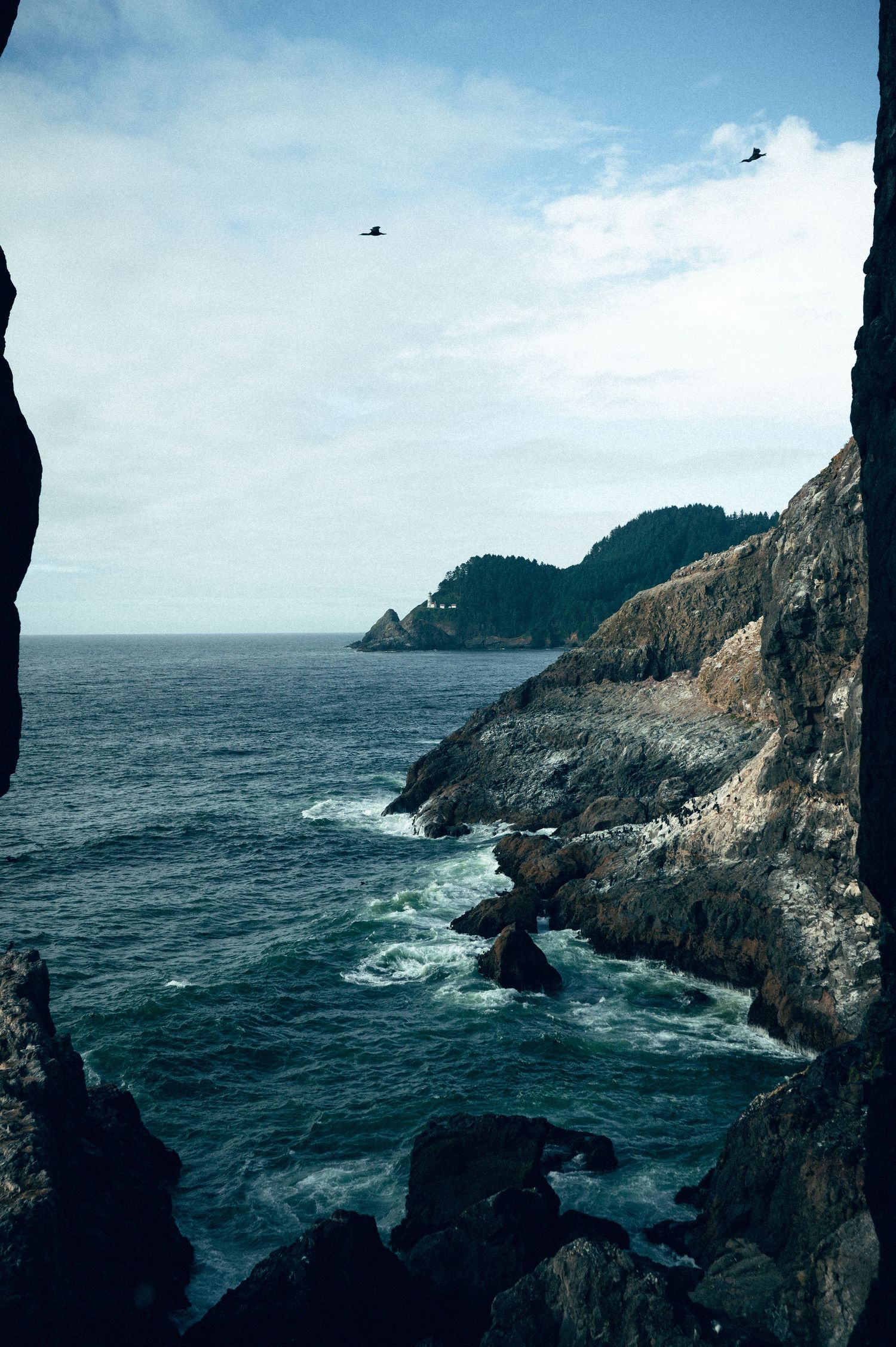 20 best things to do for your Oregon road trip. Sea Lion Caves Oregon Coast Road trip travel and wellness photography by Carl James