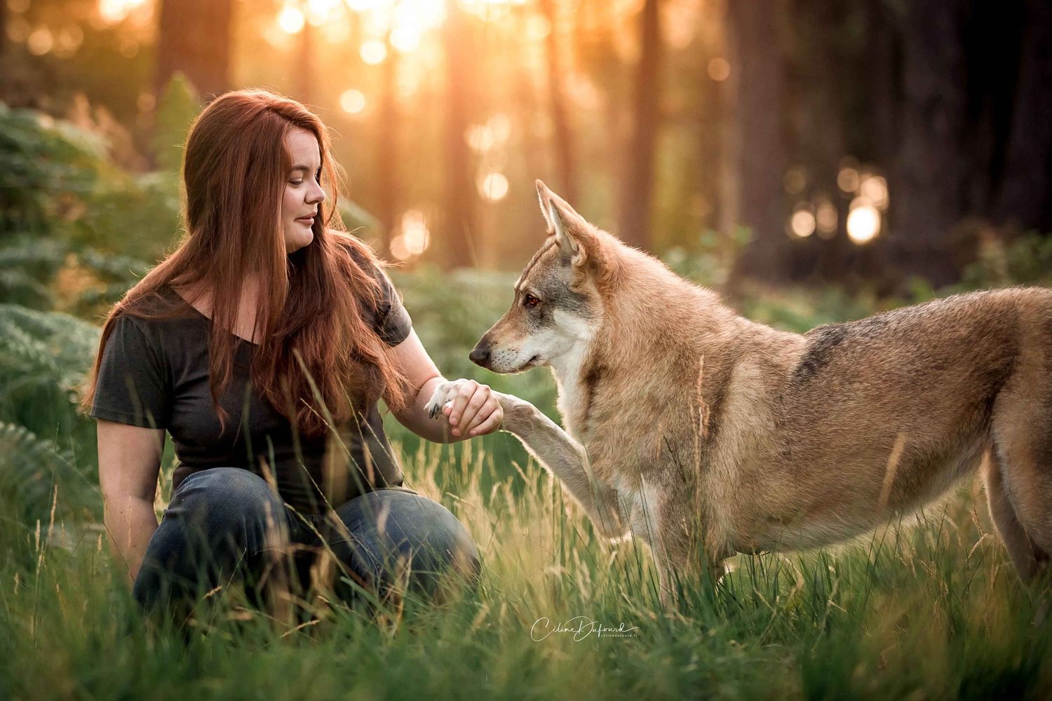 Céline Dufourd est aussi photographe canin