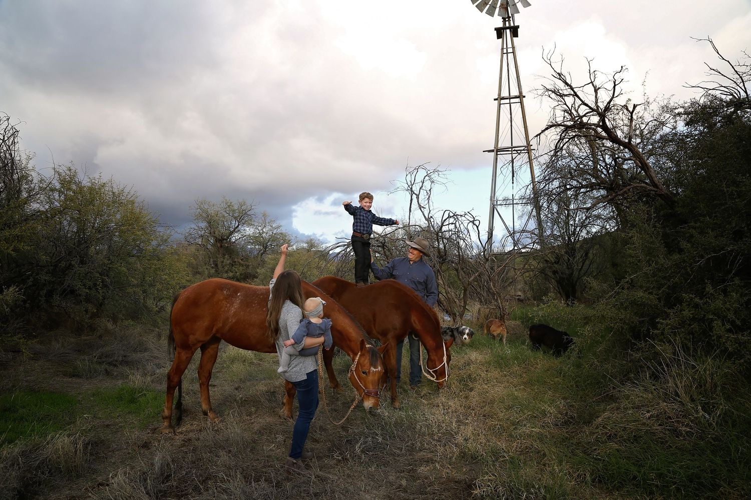 Group of people with two brown horses in a rural pasture near a windmill under a cloudy sky.