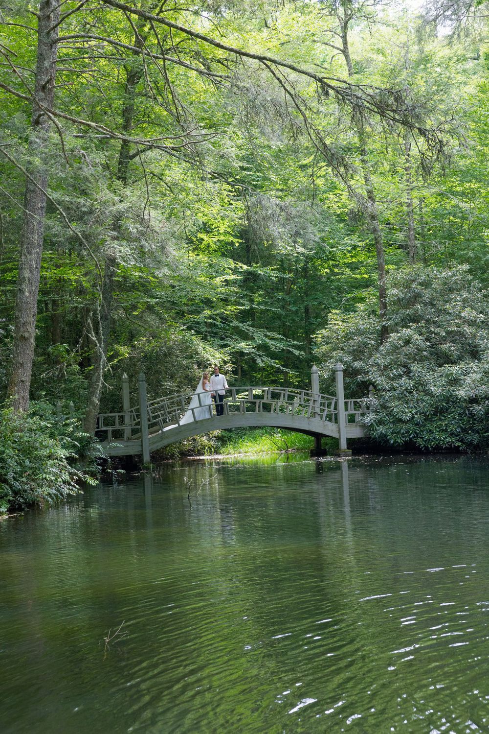 A couple stands on an arched white wooden bridge over a calm green pond, surrounded by lush forest and rhododendron bushes.