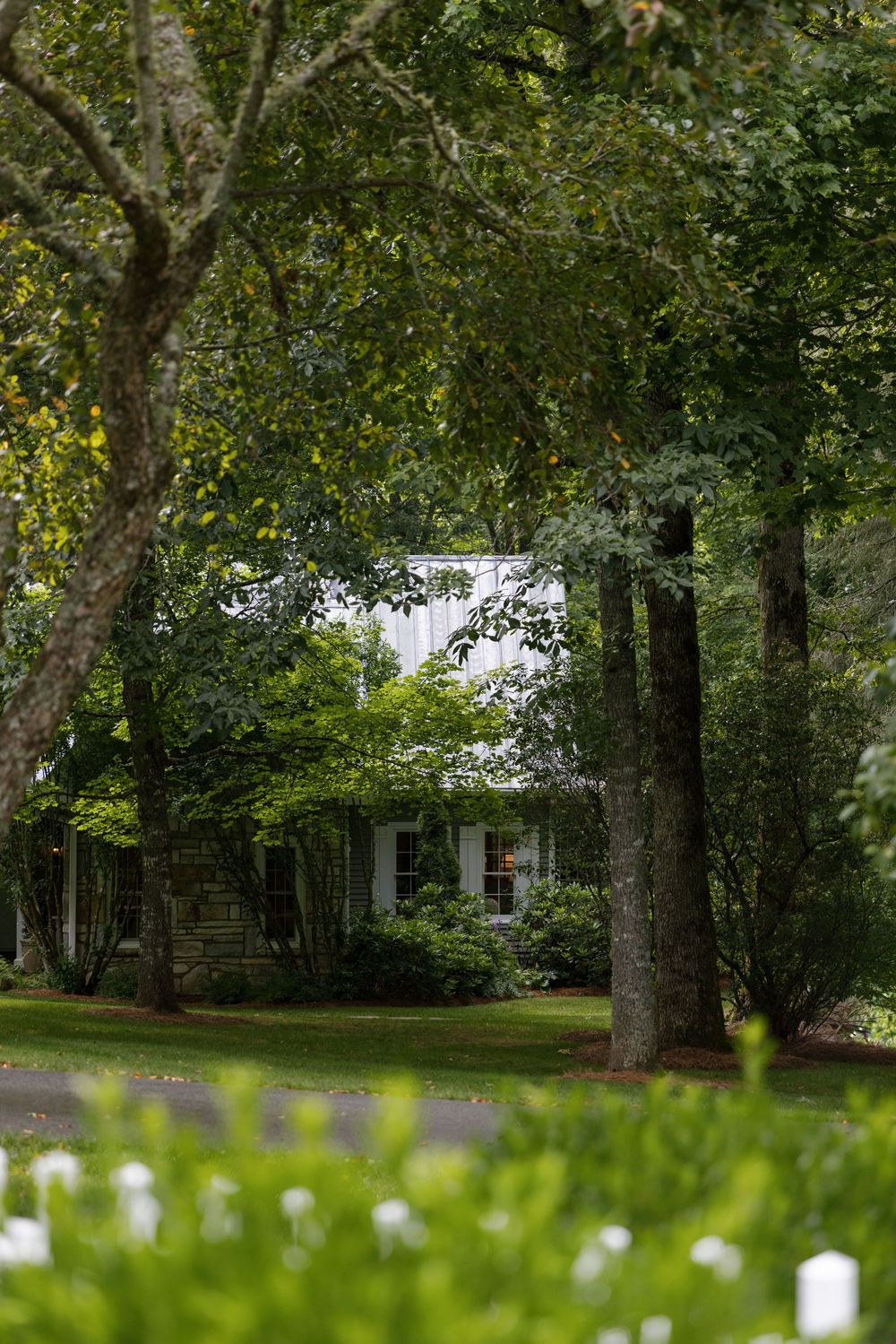 White house with a stone foundation nestled among tall shady trees, a green lawn, and blooming white flowers in the foreground.