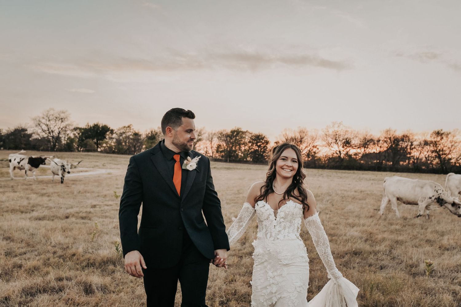 Bride and groom photographed with longhorns at Lucky Spur Ranch