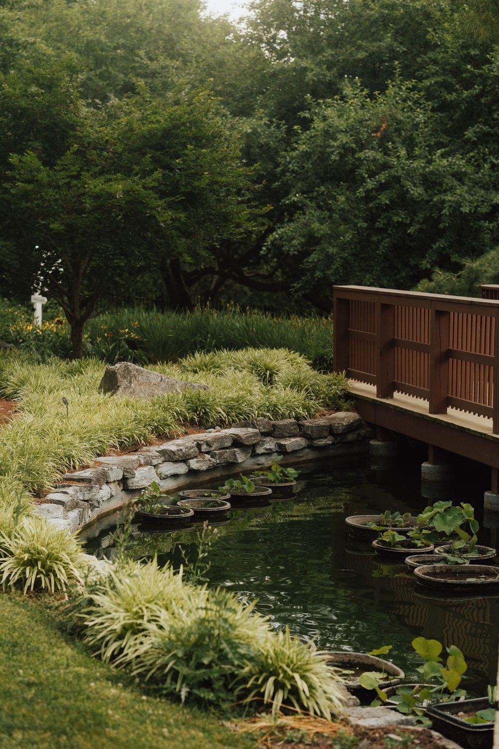 A serene garden pond with lily pads, stone edging, lush greenery, and a wooden bridge surrounded by trees.